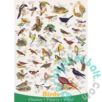 EuroGraphics 1000 db-os puzzle - Birds (6000-1259)