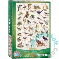 EuroGraphics 1000 db-os puzzle - Birds (6000-1259)