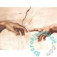 EuroGraphics 1000 db-os puzzle - Creation of Adam, Michelangelo - Detail (6000-2016)
