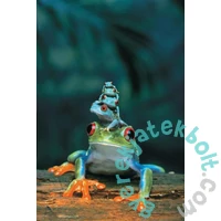 EuroGraphics 1000 db-os puzzle - Red Eyed Tree Frog (6000-3004)