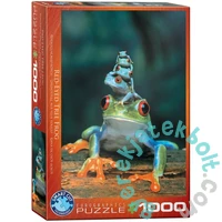 EuroGraphics 1000 db-os puzzle - Red Eyed Tree Frog (6000-3004)