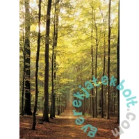 EuroGraphics 1000 db-os puzzle - Forest Path (6000-3846)