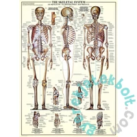 EuroGraphics 1000 db-os puzzle - The Skeletal System (6000-3970)