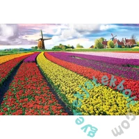 EuroGraphics 1000 db-os puzzle - Tulip Fields, Netherlands (6000-5326)