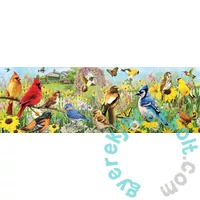 EuroGraphics 1000 db-os Panoráma puzzle - Garden Birds (6010-5338)