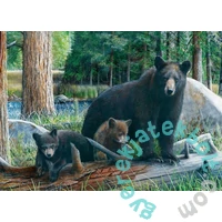 EuroGraphics 1000 db-os puzzle - New Discoveries (6000-0793)