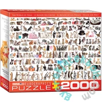 EuroGraphics 2000 db-os puzzle - The World of Cats (8220-0580)