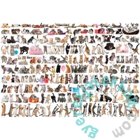 EuroGraphics 2000 db-os puzzle - The World of Cats (8220-0580)