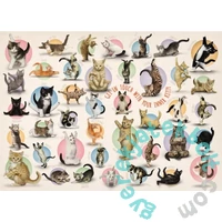 EuroGraphics 300 db-os XL puzzle - Yoga Kittens (8300-0991)