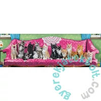 EuroGraphics 1000 db-os Panoráma puzzle - Kitty Cat Couch (6010-5629)