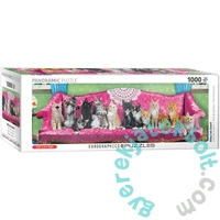 EuroGraphics 1000 db-os Panoráma puzzle - Kitty Cat Couch (6010-5629)