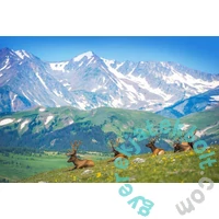 EuroGraphics 1000 db-os puzzle - Mountain Elks (6000-5705)