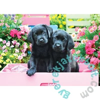 Eurographics 500 db-os puzzle - Black Labs in Pink Box (6500-5462)