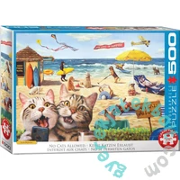 EuroGraphics 500 db-os puzzle - No cats allowed by Lucia Heffe (6500-5879)