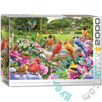 EuroGraphics 2000db-os puzzle - Bird Gathering (8220-6134)