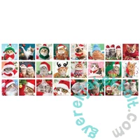 EuroGraphics Adventi kalendárium puzzle - Christmas Whiskers (8924-5922)