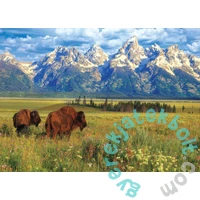 EuroGraphics 1000 db-os puzzle - Grand Teton National Park (6000-5474)