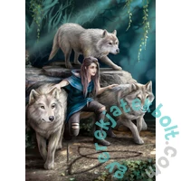 EuroGraphics 1000 db-os puzzle - The Power of Three, Anne Stokes (6000-5476)