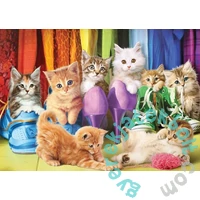 EuroGraphics 1000 db-os puzzle - Kitten Pride (6000-5543)