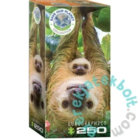 EuroGraphics 250 db-os puzzle - Sloths (8251-5556)