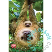 EuroGraphics 250 db-os puzzle - Sloths (8251-5556)
