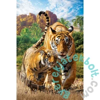 EuroGraphics 250 db-os puzzle - Tigers (8251-5559)