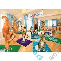 EuroGraphics 300 db-os XL puzzle - Yoga Studio (8300-5453)