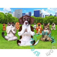 EuroGraphics 300 db-os XL puzzle - Yoga Park (8300-5455)