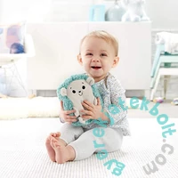 Fisher-Price Nyugtató sünipajtás (FXC58)