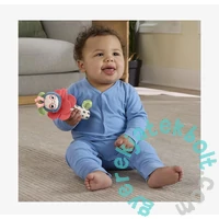 Fisher-Price Planet Friends - Zümi csörgő (HYR56)