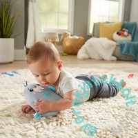 Fisher-Price Nyugis Rozmárpajti (GRT91)