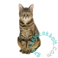 Galison 625 db-os 2-in-1 shaped puzzle - Queen of the Stacks (60136)