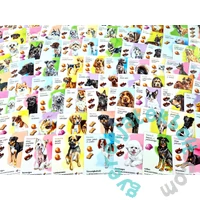 Kutyapark társasjáték (LDG10013)