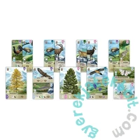 Az erdő - Alpok kiegészítő (ASM34711)