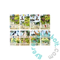 Az erdő - Cserjék kiegészítő (ASM34712)