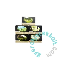 Az erdő - Felfedezés kiegészítő (ASM34738)