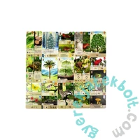 Az erdő - Felfedezés kiegészítő (ASM34738)