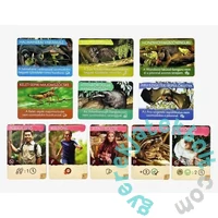 Eltűnt fajok nyomában társasjáték (REN10002)