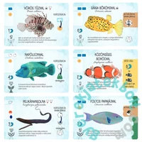 Mélytáv társasjáték (DEL21838)