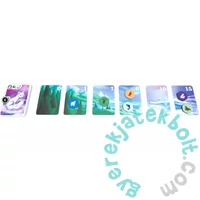 Sarkvidék társasjáték (LUD10002)