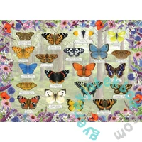 Gibsons 1000 db-os puzzle - Beautiful Butterflies (G6366)