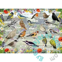 Gibsons 1000 db-os puzzle - RSPB Blissful Birds (G6469)