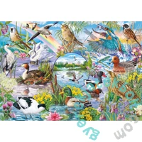 Gibsons 4x500 db-os puzzle - RSPB Wings in the Wild (G5074)