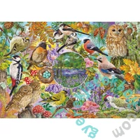 Gibsons 4x500 db-os puzzle - RSPB Wings in the Wild (G5074)