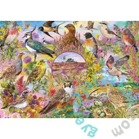 Gibsons 4x500 db-os puzzle - RSPB Wings in the Wild (G5074)