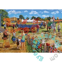 Gibsons 4x500 db-os puzzle - Call the Vet (G5069)