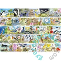 Gibsons 1000 db-os puzzle - RSPB - Birdsong & Bluebells (7151)