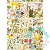 Gibsons 1000 db-os puzzle - RHS - Botanical Bliss (G7160)
