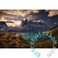 Heye 1000 db-os puzzle - Guanakók, Humboldt (29815)