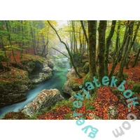 Heye 1000 db-os puzzle - Magic Forests - Little Brook (30091)